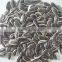 New Crop Chinese Sunflower Seed 5009/3638/0409 on Promotion for Sale