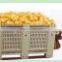 2016 China solid perforated plastic pallet container for water