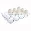 Crystal Acrylic Egg Tray
