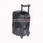Professional wholesale fashion 10 inch big power trolley battery speaker