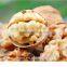 hot sell raw walnut, thin shell walnut price