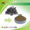 Manufacture Supply Organic Dried Dandelion Root Extract powder
