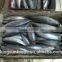 Export whole round seafood fish wholesale frozen skipjack sea food tuna price kingsun foods