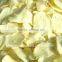 100% PURE GARLIC