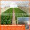 top quality 100 150 200 micron tunnel / multi-span / mini / mushroom / garden / agricultural greenhouse plastic film for sale