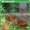 Self Water Irrigation Hose Kit Micro Drip Watering System Automatic Plant Garden