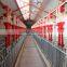 automatic feeding system for pig farm