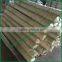 Hot sale Annealed & Galvanized Straight Cut Wire / binding wire