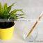 Hotel use bamboo toothbrush, bamboo handle toothbrush