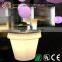 Led Flower Pot, Led Flower Pot Lighting