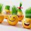 2017 new style Emoji grass doll