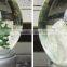 Resin Christmas Snow Globe/Water Globe/Snow Ball for Christmas Decoration