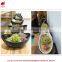 Artificial mini plant potted succulent combination mini succulent