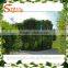 artificial grass wall artificial green wall artificial plant wall