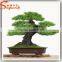 High quality life size artifical plant home decoration artifical bonsai plants