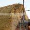 thatching water reed bundles