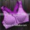 GZY 2015 high quality the latest design custom blank sports bra