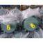Explosion proof three phase electric motor