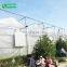 Cheap Price High Quality Agricultural/Commercial Plastic Greenhouse