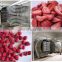 Vacuum Freeze Drying Strawberry Potato Equipment Machinery