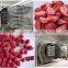 Vacuum Freeze Drying Strawberry Potato Equipment Machinery