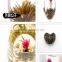Premium grade individual wrapped blooming flower tea