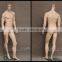 Wholesale Engraving Head Full Body Realist Muscle Male Mannequin Cheap Dummy Fiberglass Man Mannequin WEN1