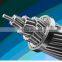 2021 Hot Sale AAAC Transmission Wire