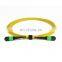 Singlemode 12 Fiber Fiber Optic MPO/MTP ruggedised pigtail