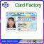 Printing Identify Payment Discount ID Card RFID Chip Smart Card