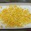 Canned Sweet Corns