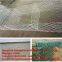 hexagonal wire mesh/chicken wire mesh/protecting wire mesh/PVC protective layer/ wire mesh