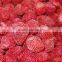 IQF strawberry halves from China