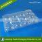12 pcs Disposable Clear Blister Packaging Strawberry /strawberry packaging