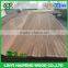Grade A wood face veneer sheets recon poplar face veneer