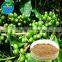 2015 China Manufacturer Organic Green Coffee Bean Extract, Green Coffee Bean Extract Powder, Pure Green Coffee Bean Extract