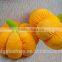 custom stuffed plush toy pumpkin halloween toy
