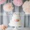 Hot Sale Cheap Hanging Colorful Paper Decorative Pom Poms