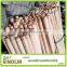 2014 Hotsell Wooden Stick for Broom