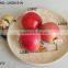 Canton Fair Realistic artificial foam apples in assorted colours for fall autumn fallorhalloween seasonal display decorations