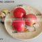 Realistic artificial foam apples in assorted colours for fall autumn fallorhalloween seasonal display decorations