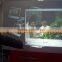 holographic projection screen with reasonable price