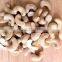 Vietnam cashew kernels grade WW320, WW450, WS for Asia market