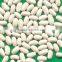 white kidney beans Baishake type for sale