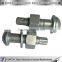 stainless steel tc torque control bolt with nut