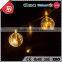 TZFEITIAN Over 10 Years Manufacture Experience Holiday Name Short Christmas String Light