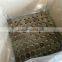 Diesel engine exhaust metal catalyst substrate