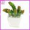 mini succulent planter
