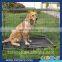 High quality galvanized iron wire , high carbon steel wire Dog Cage for sale cheap