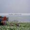 high efficient irrigate equipment